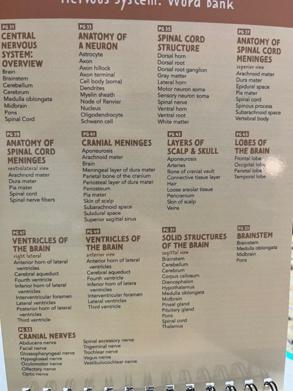 Nurse In The Making‎ Anatomy Label Lab Workbook Spiral Bound Laminated NEW